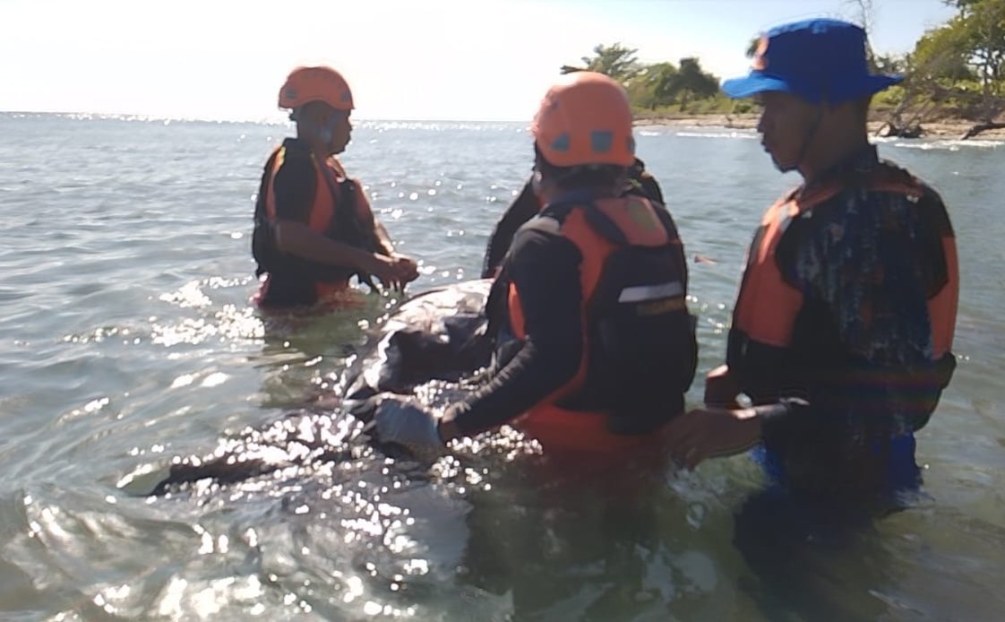 Hari ke-4 Lakukan Pencarian Tim SAR Gabungan Temukan La Risno Sudah Meninggal