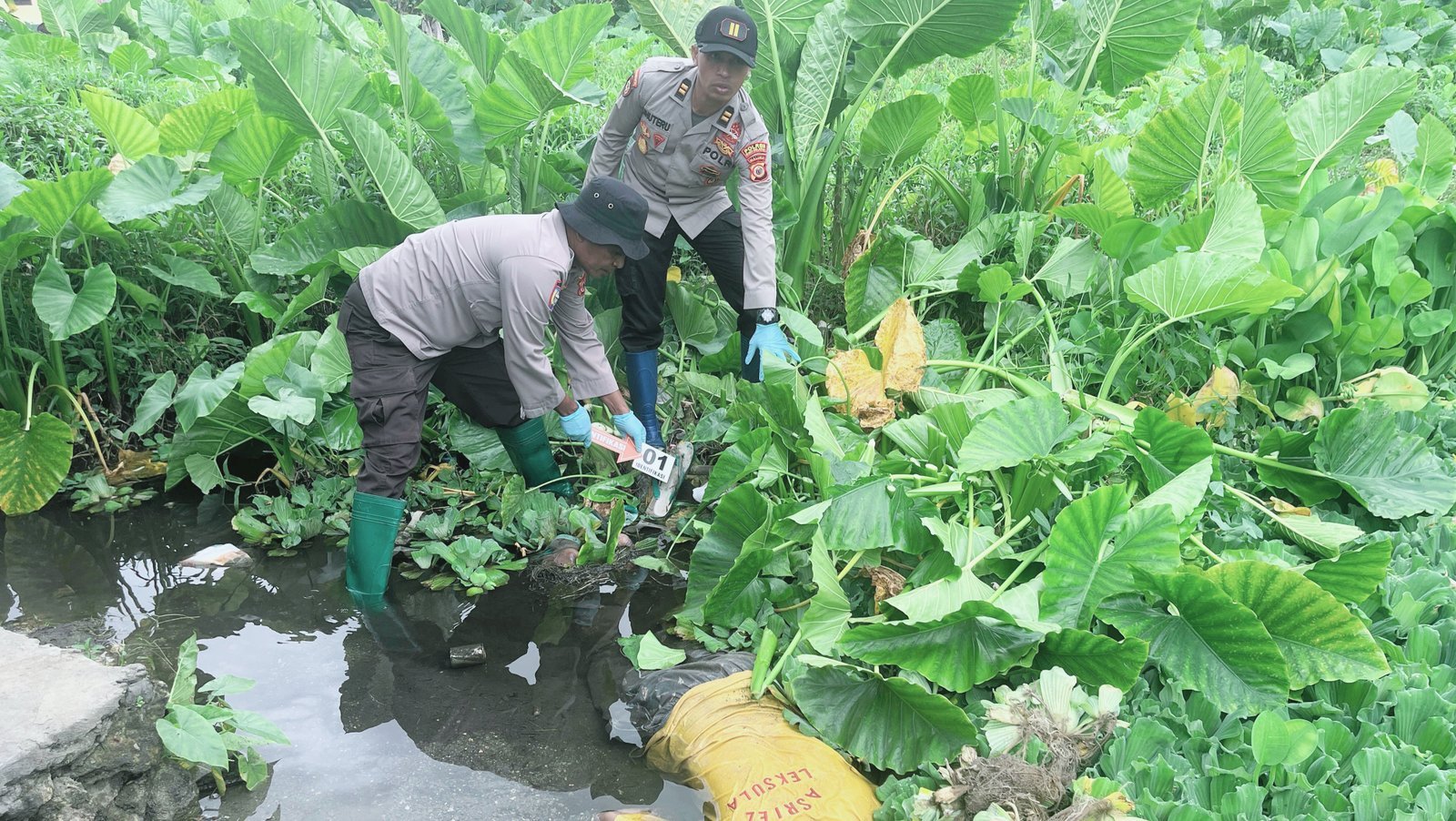 Polsek Leksula Amankan Temuan Mayat Di Genang Air