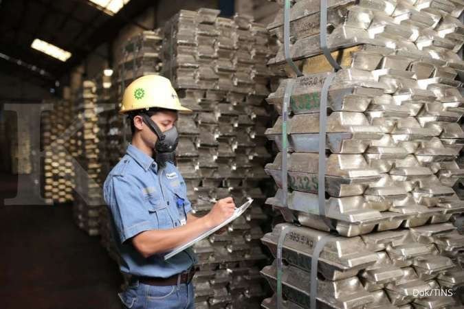 Prospek Harga Logam di 2025: Timah Bersinar, Nikel Tetap Terjepit