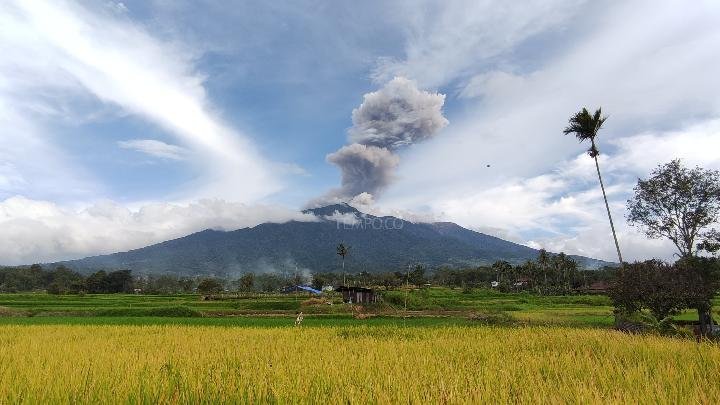 Erupsi Gunung Marapi: Abu Meluncurkan ke Angkasa Hingga 1000 Meter
