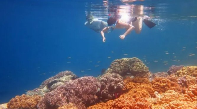 Mengenal Tradisi dan Kehidupan Suku Naulu di Pulau Seram, Maluku