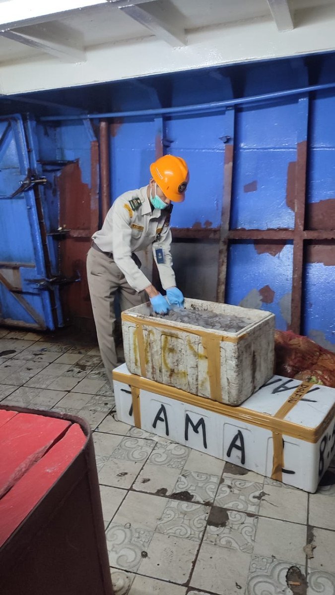 Aman.! Karantina Maluku Bebaskan Tuna dan Gurita Kabupaten Kepulauan Sula