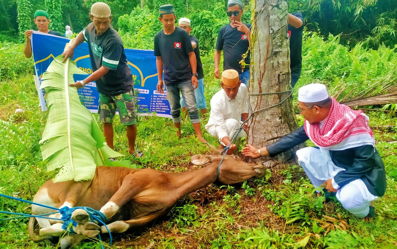 Kurban Lima Ekor Sapi, KKSS dan IWSS Buru Selatan Hidupkan Semangat Berbagi di Hari Raya Idul Adha
