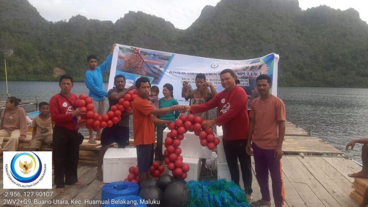 Tingkatkan Produksi Perikanan dan Kelautan, BPBL Ambon Bantu Masyarakat Pembudidaya