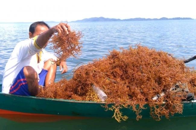 Rencana "Gemuruh Kuljar" DKP Maluku Dapat Dukungan BPBL Ambon