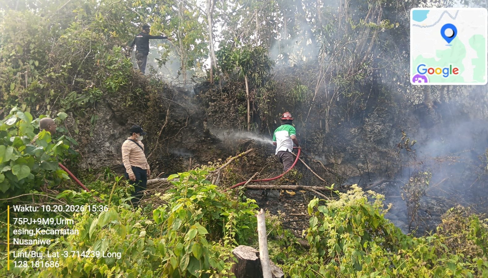 Karhutla Siwang Hanguskan 6 Hektare, Dinas Kehutanan Maluku Pantau 369 Titik