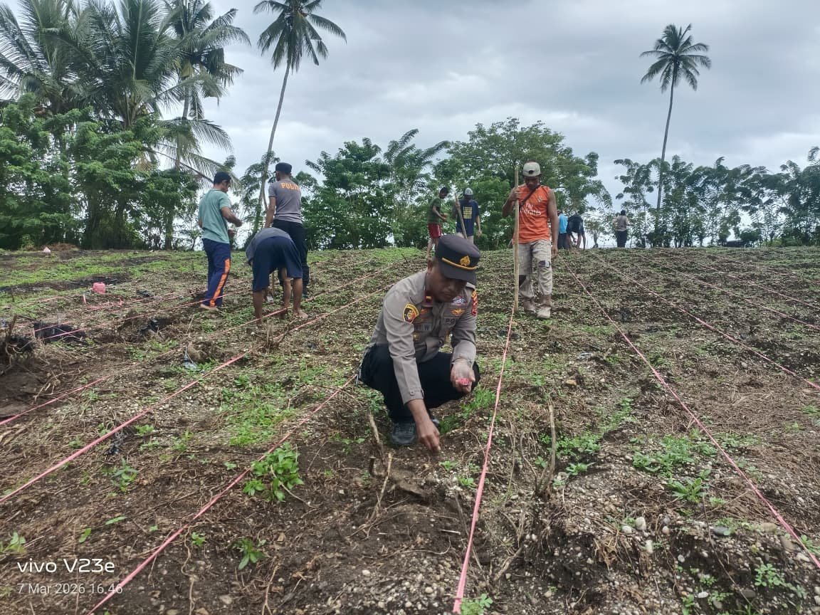 Polres Bursel Menggelar Penanaman Jagung Serentak Mendukung Swasembada Jagung