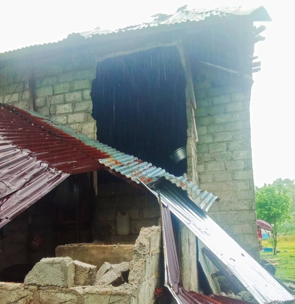 Angin Kencang Tumbangkan Pohon Sagu, Empat Warga di BurseL Jadi Korban