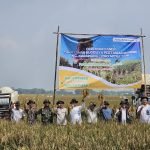 Attachment for Bulog Kenalkan Teknologi Baru, Panen Padi di Karawang Melonjak 2 Kali Lipat