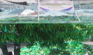 Screenshot_2025-12-20-13-55-43-86_40deb401b9ffe8e1df2f1cc5ba480b12